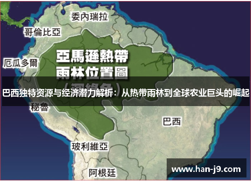巴西独特资源与经济潜力解析：从热带雨林到全球农业巨头的崛起